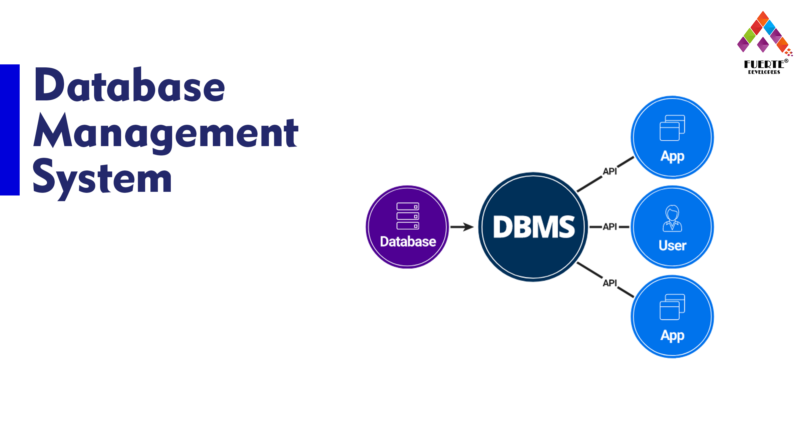 Database Management system