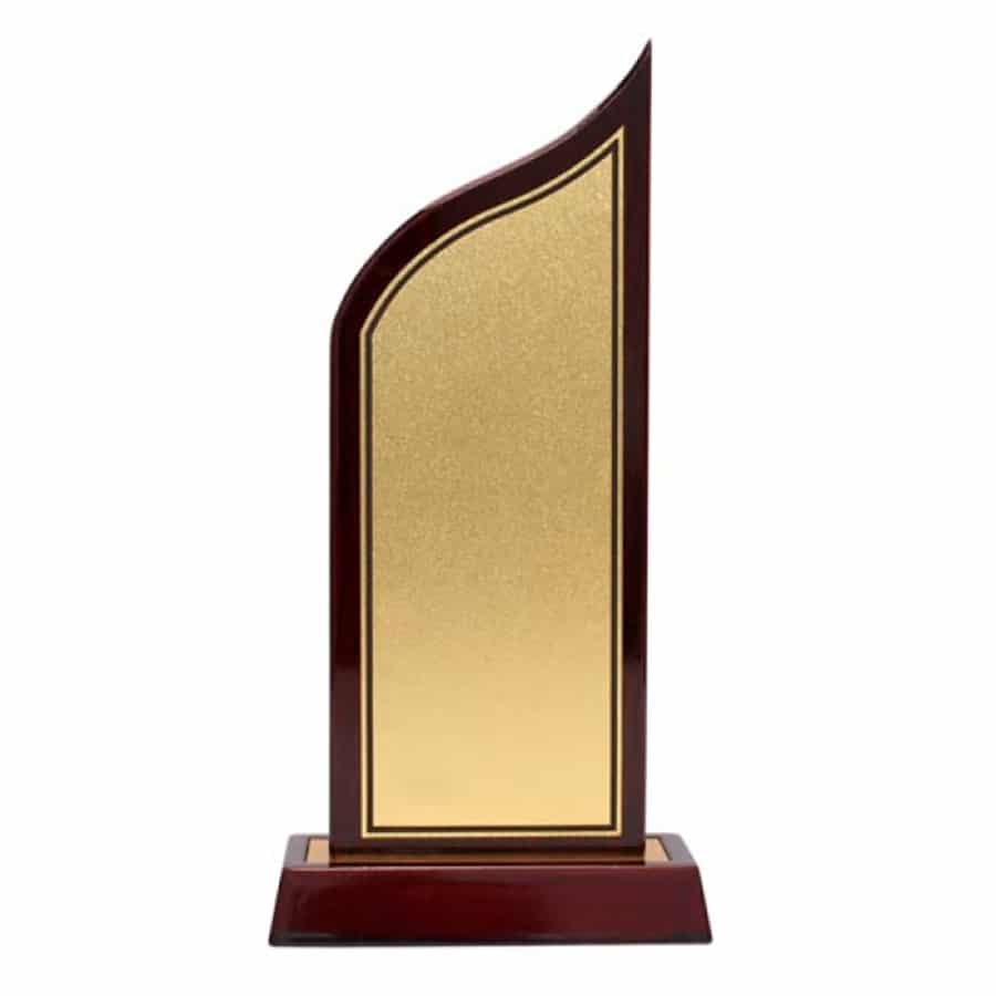 Award 5